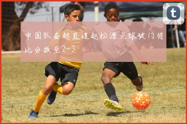 中国队奋起直追赵松源点球破门将比分扳至2-3